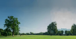 ISD